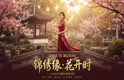 成人视频精选视频 - 都市情缘